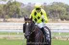 Magical Ride - Strathalbyn 